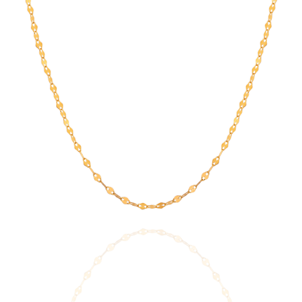 زنجیر پولکی